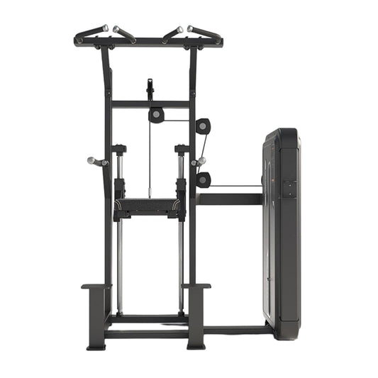 DHZ E3009A Assisted Chin Dip