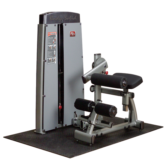 Body Solid Pro Dual DABB Ab & Back Machine