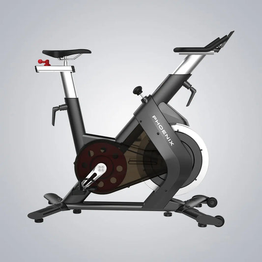 DHZ S210 Spin Bike